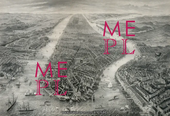 : New York and environs : New York and environs
