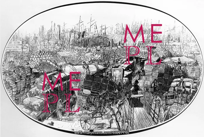 : New York Harbor around 1880 : New York Harbor around 1880