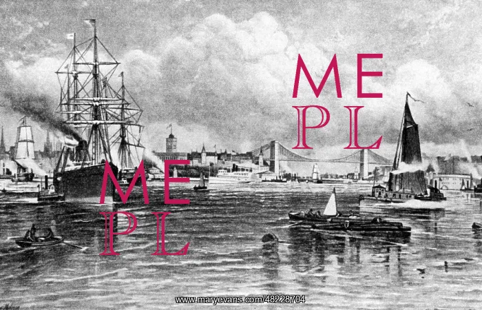 : New York in the middle of the 19th century : New York in the middle of the 19th century