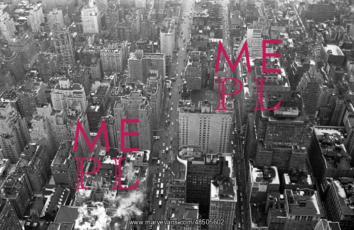 : New York in pictures, 1969 : New York in pictures, 1969