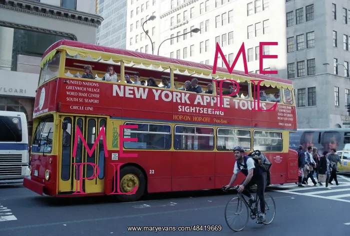 : New York in pictures, 1995 : New York in pictures, 1995