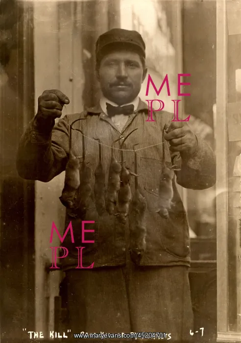 : New York, rat catcher, reads: The kill ? : New York, rat catcher, reads: The kill ?