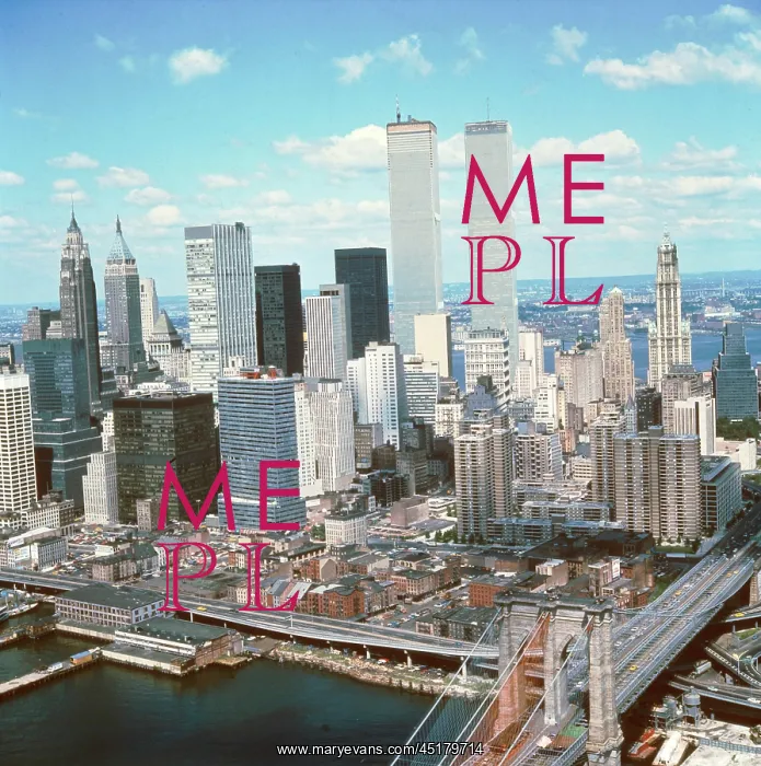 : NEW YORK SKYLINE : NEW YORK SKYLINE