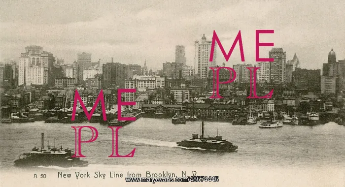  : New York Skyline from Brooklyn, USA