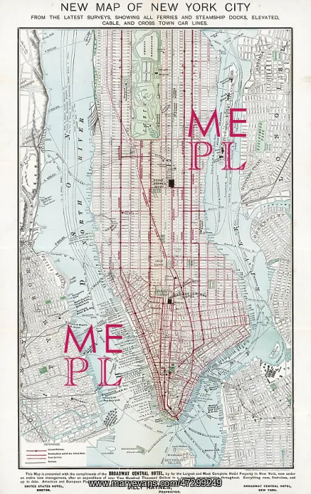 : New York Street Plan - 1895 : New York Street Plan - 1895