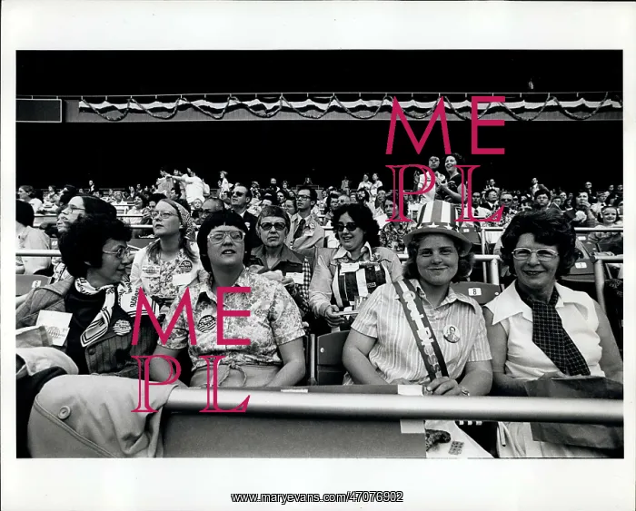 : New York Yankees : New York Yankees