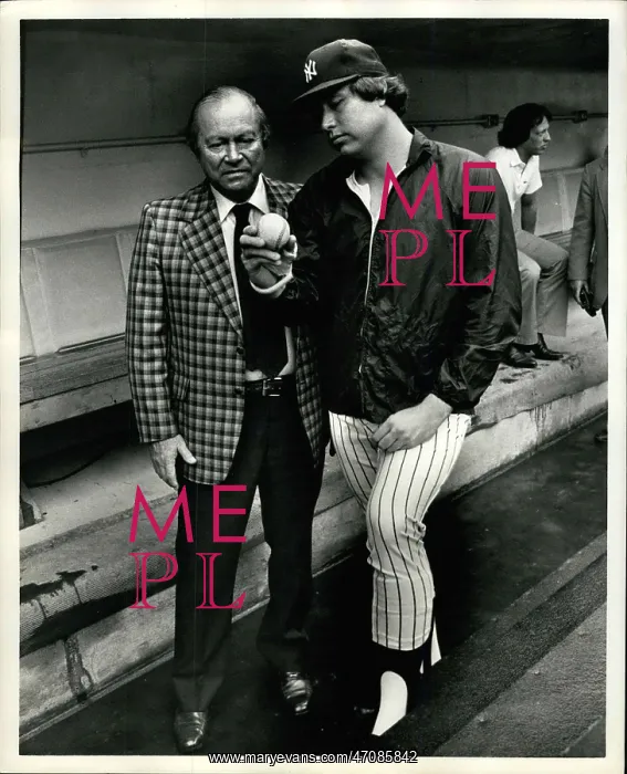 : New York Yankees : New York Yankees