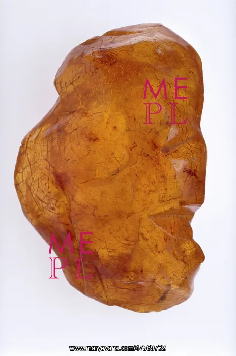 : New Zealand copal : New Zealand copal