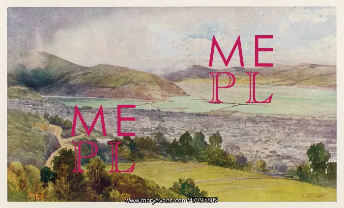  : NEW ZEALAND / DUNEDIN