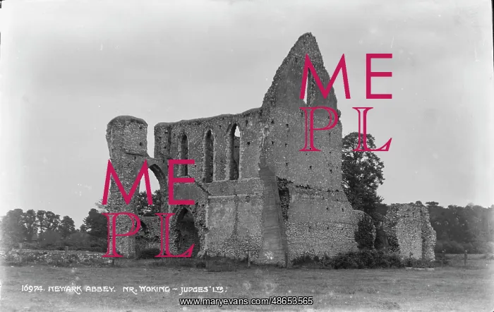 : Newark Abbey Ruins : Newark Abbey Ruins