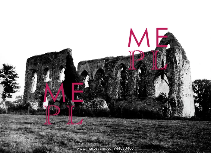 : NEWARK PRIORY, SURREY : NEWARK PRIORY, SURREY