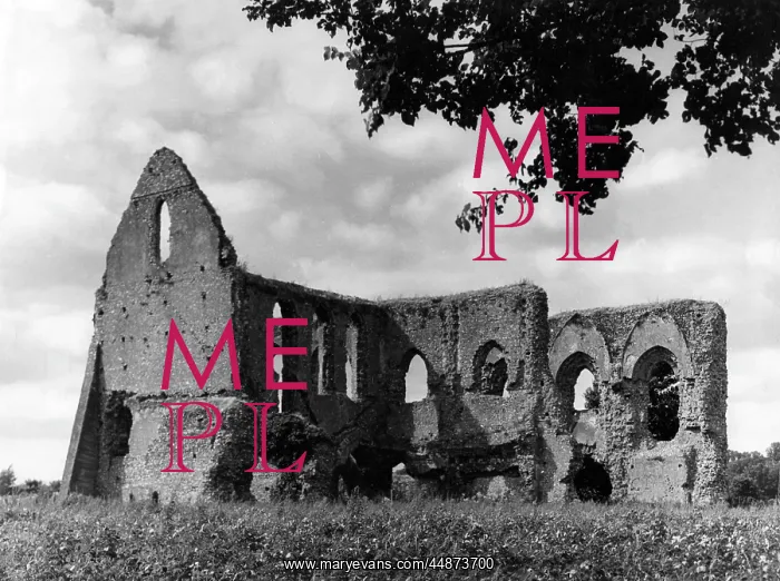 : NEWARK PRIORY, SURREY : NEWARK PRIORY, SURREY