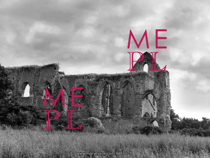 : NEWARK PRIORY, SURREY : NEWARK PRIORY, SURREY