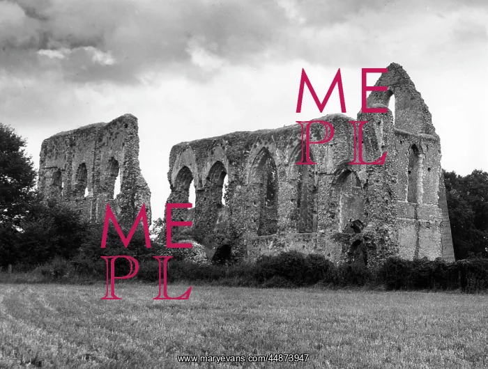 : NEWARK PRIORY, SURREY : NEWARK PRIORY, SURREY