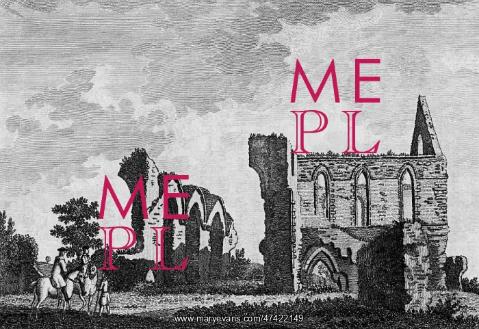  : Newark Priory, Surrey