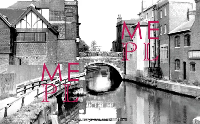  : Newbury, Town Bridge over River Kennet c1955