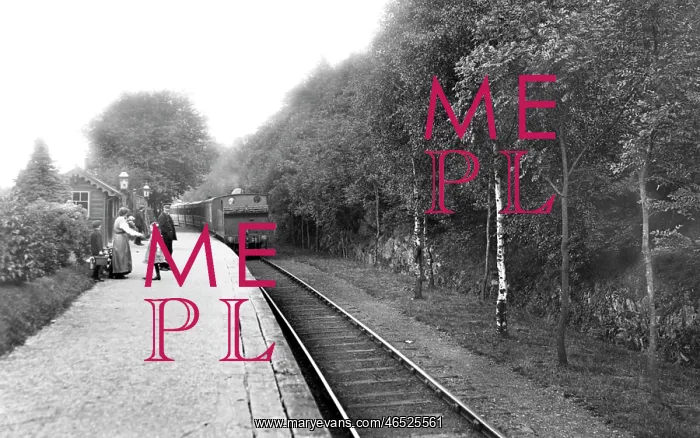  : Newby Bridge, the Platform 1914