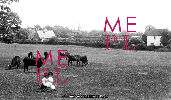  : Newdigate, 1906