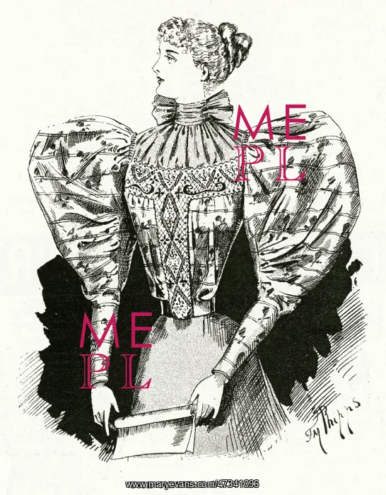 : Newest blouse 1895 : Newest blouse 1895