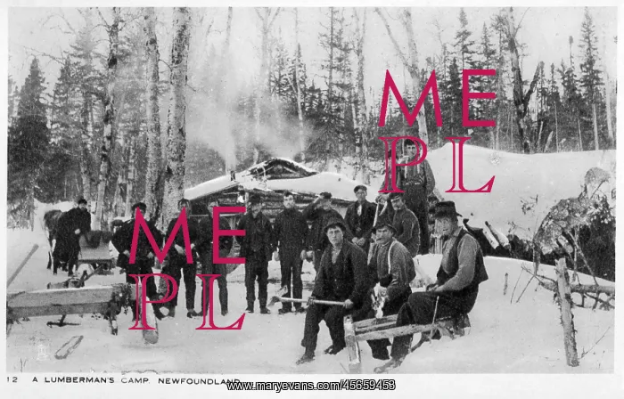 : Newfoundland, Canada - Lumberman's Camp : Newfoundland, Canada - Lumberman's Camp
