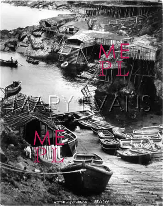 : NEWFOUNDLAND FISHERPORT : NEWFOUNDLAND FISHERPORT
