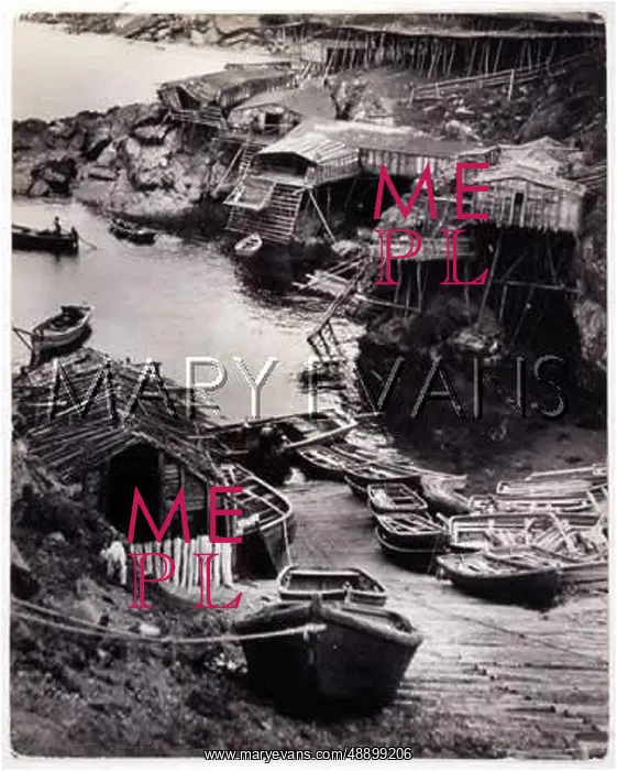 : NEWFOUNDLAND FISHERPORT : NEWFOUNDLAND FISHERPORT