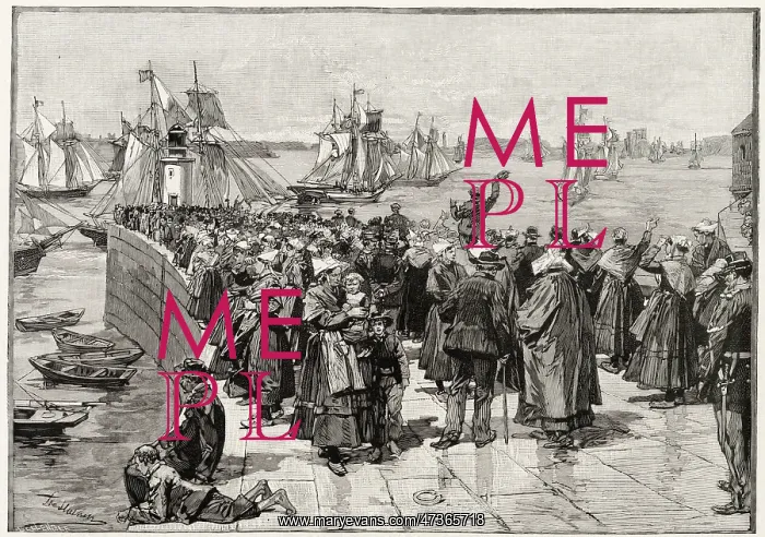 : NEWFOUNDLAND FLEET / 1891 : NEWFOUNDLAND FLEET / 1891