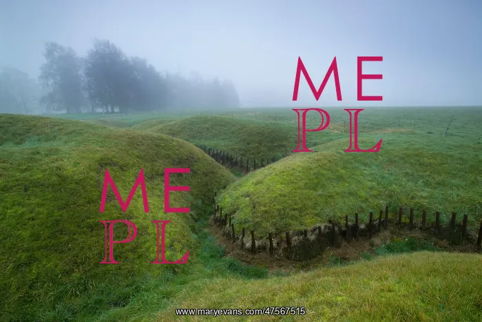 : Newfoundland Memorial Park Beaumont Hamel, Somme Battlefield : Newfoundland Memorial Park Beaumont Hamel, Somme Battlefield