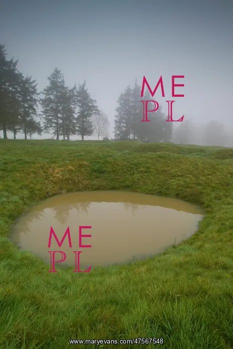 : Newfoundland Memorial Park Beaumont Hamel, Somme Battlefield : Newfoundland Memorial Park Beaumont Hamel, Somme Battlefield