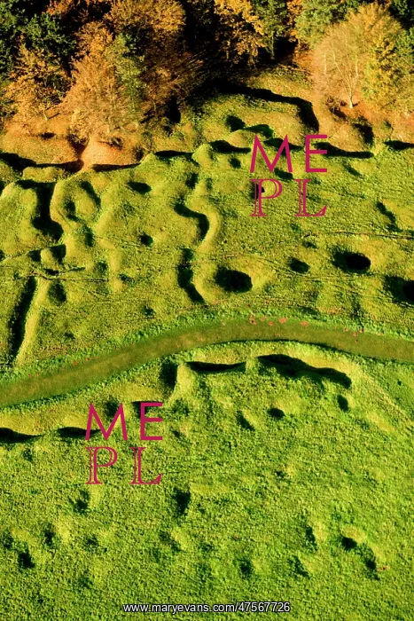 : Newfoundland Memorial Park Beaumont Hamel, Somme Battlefield : Newfoundland Memorial Park Beaumont Hamel, Somme Battlefield