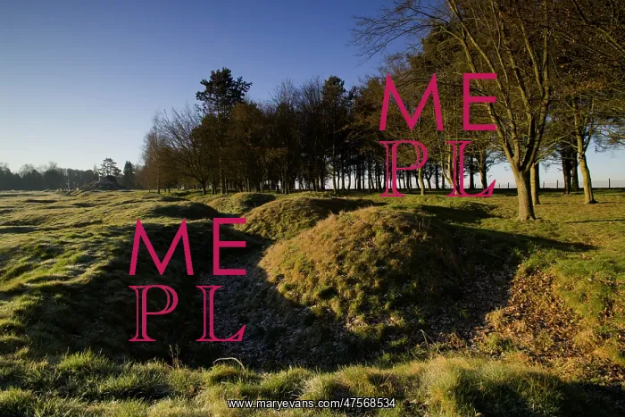 : Newfoundland Memorial Park Beaumont Hamel, Somme Battlefield : Newfoundland Memorial Park Beaumont Hamel, Somme Battlefield