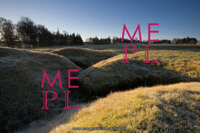 : Newfoundland Memorial Park Beaumont Hamel, Somme Battlefield : Newfoundland Memorial Park Beaumont Hamel, Somme Battlefield