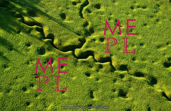: Newfoundland Memorial Park Beaumont Hamel, Somme Battlefield : Newfoundland Memorial Park Beaumont Hamel, Somme Battlefield