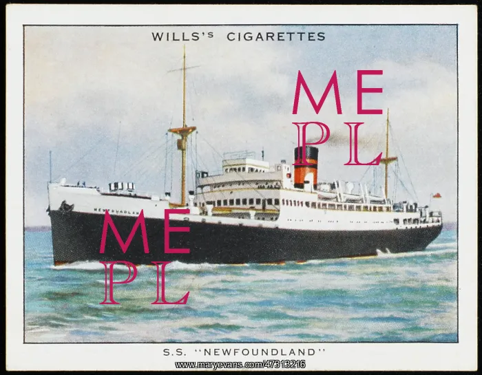 : Newfoundland Steamer : Newfoundland Steamer