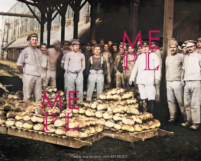 : Newly baked bread for the Western Front, WW1 : Newly baked bread for the Western Front, WW1