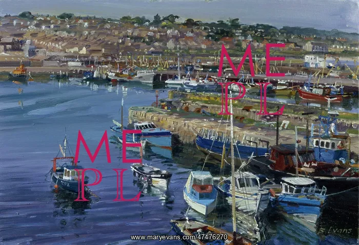  : Newlyn Harbour