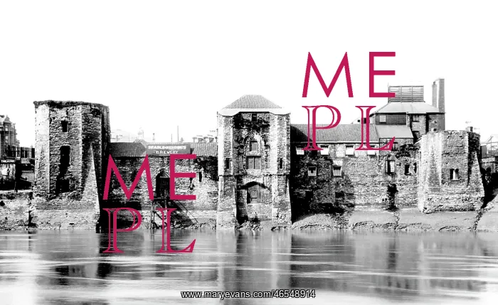  : Newport, Castle 1893