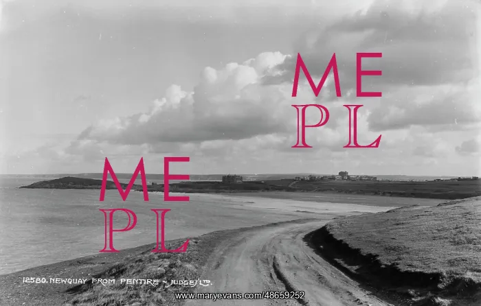 : Newquay from Pentire : Newquay from Pentire