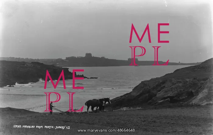 : Newquay from Porth Judges : Newquay from Porth Judges