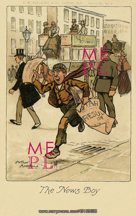 : The Newsboy : The Newsboy