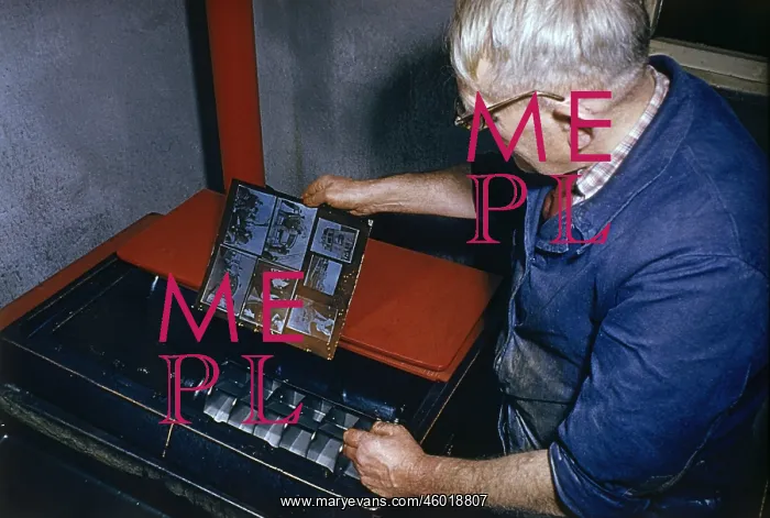 : Newspaper production : Newspaper production