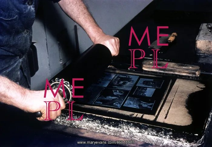: Newspaper production : Newspaper production