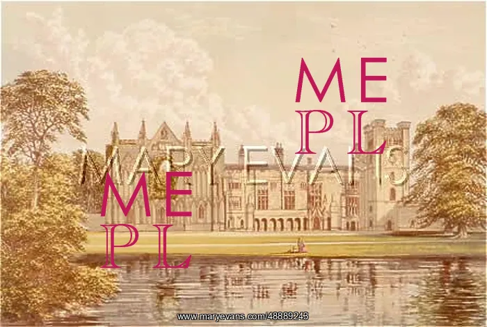 : NEWSTEAD ABBEY / 1879 : NEWSTEAD ABBEY / 1879