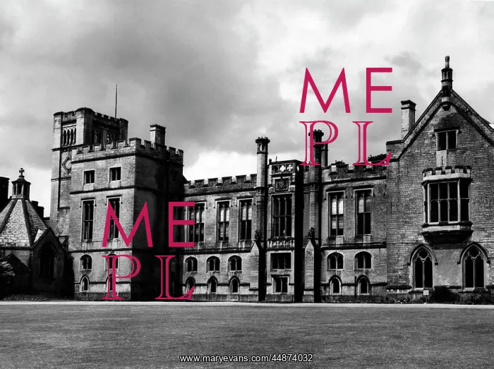 : NEWSTEAD ABBEY : NEWSTEAD ABBEY