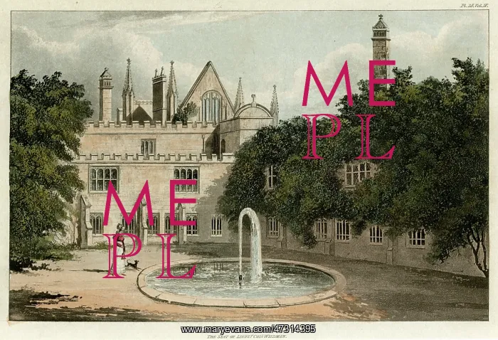 : NEWSTEAD ABBEY / ACKERMANN : NEWSTEAD ABBEY / ACKERMANN