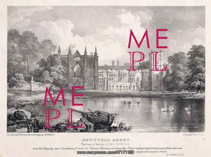  : NEWSTEAD ABBEY / WEBSTER