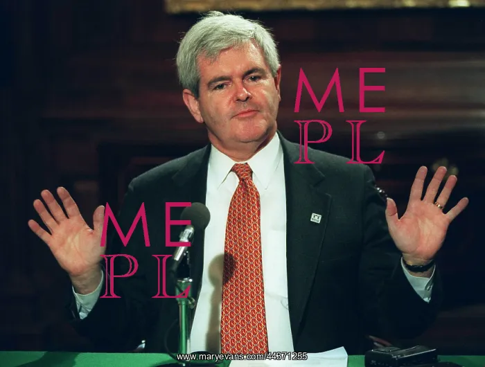 : Newt Gingrich : Newt Gingrich