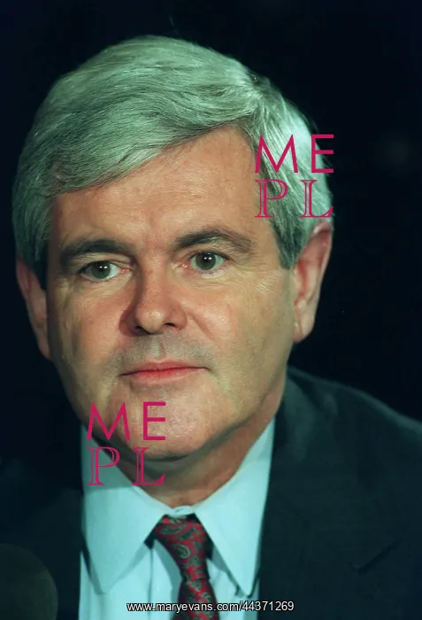  : Newt Gingrich