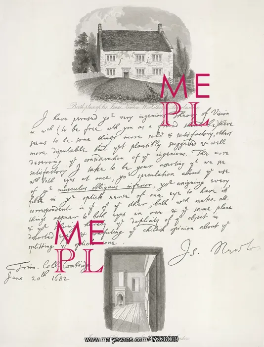 : NEWTON / HANDWRITING : NEWTON / HANDWRITING
