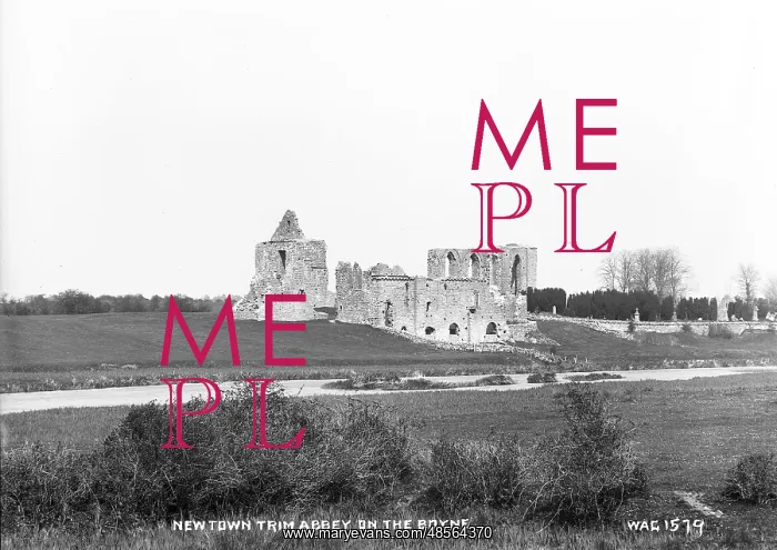 : Newtown Trim Abbey on the Boyne : Newtown Trim Abbey on the Boyne